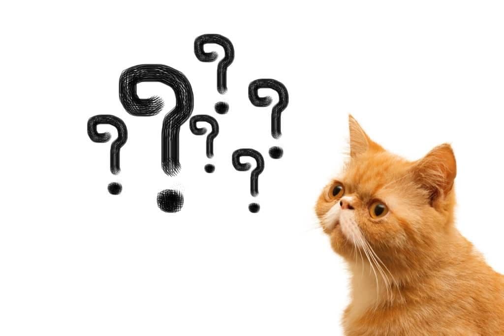 An engineer's guide to asking better questions on Slack